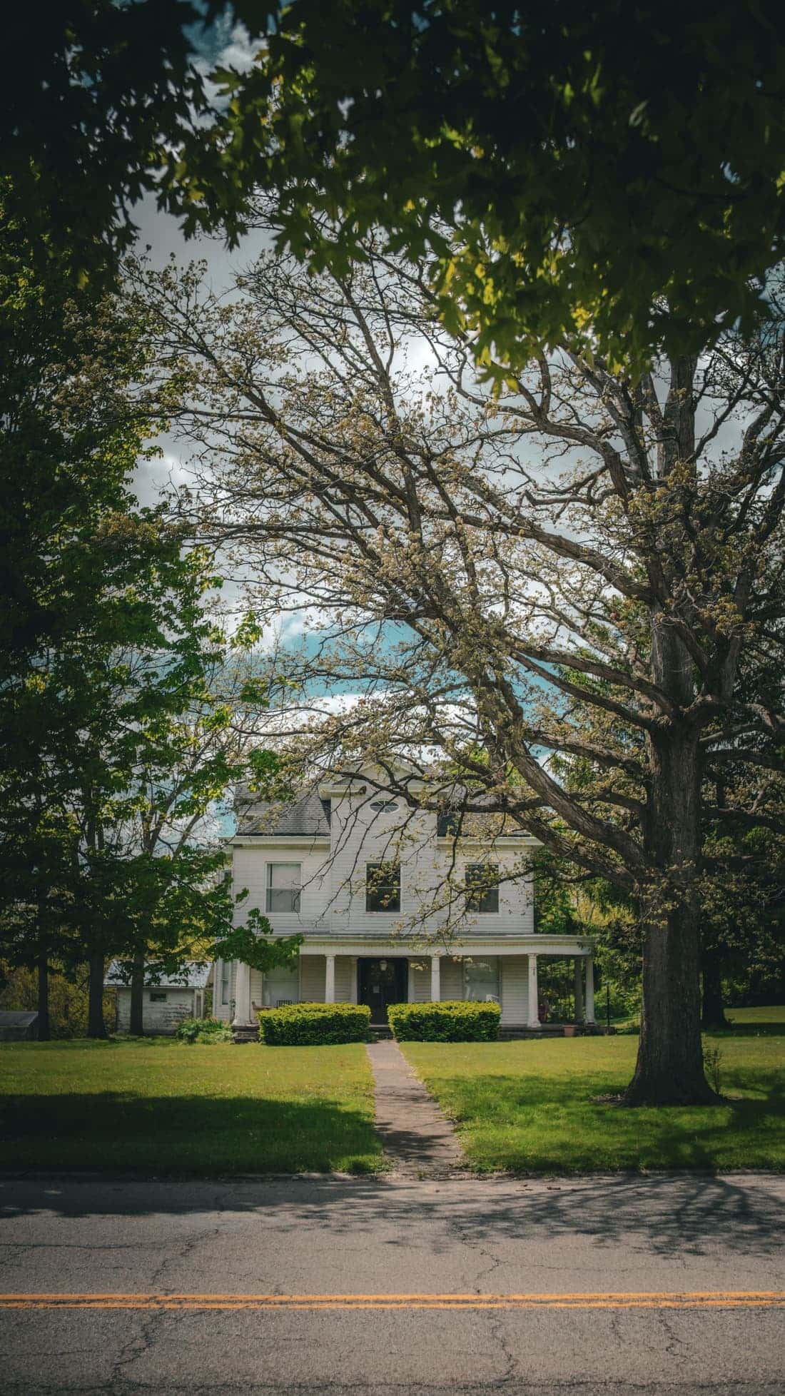 Traditional older house among trees